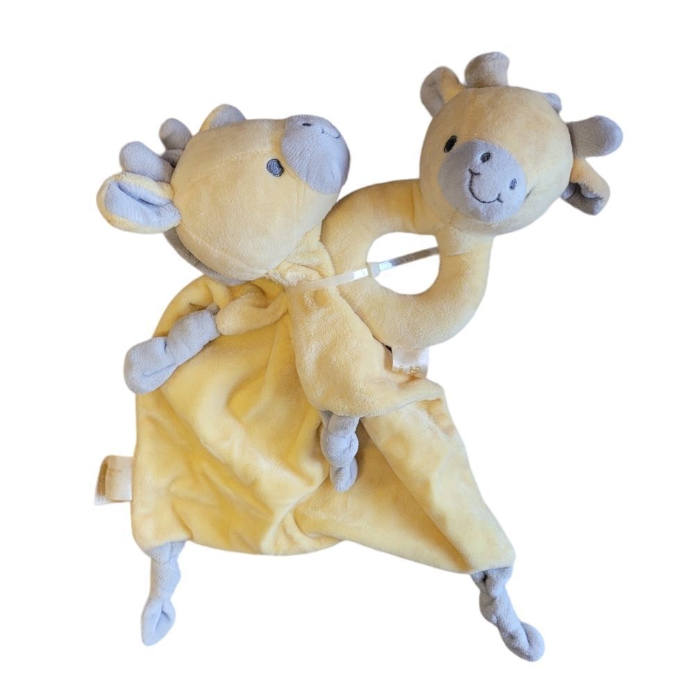 Baby rattle and blankie
